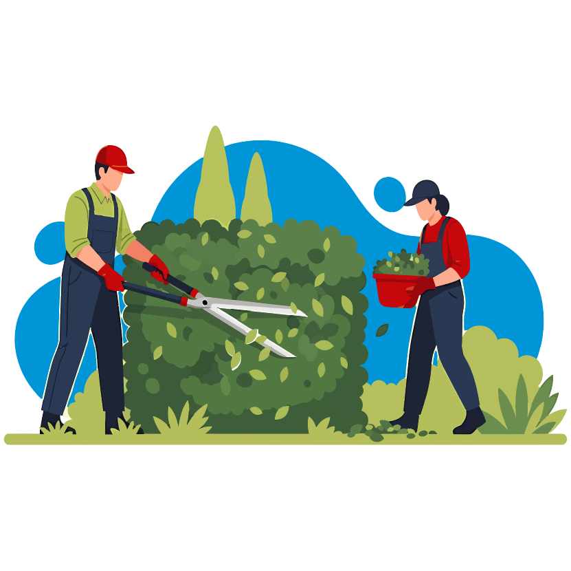 Landscape Marketing